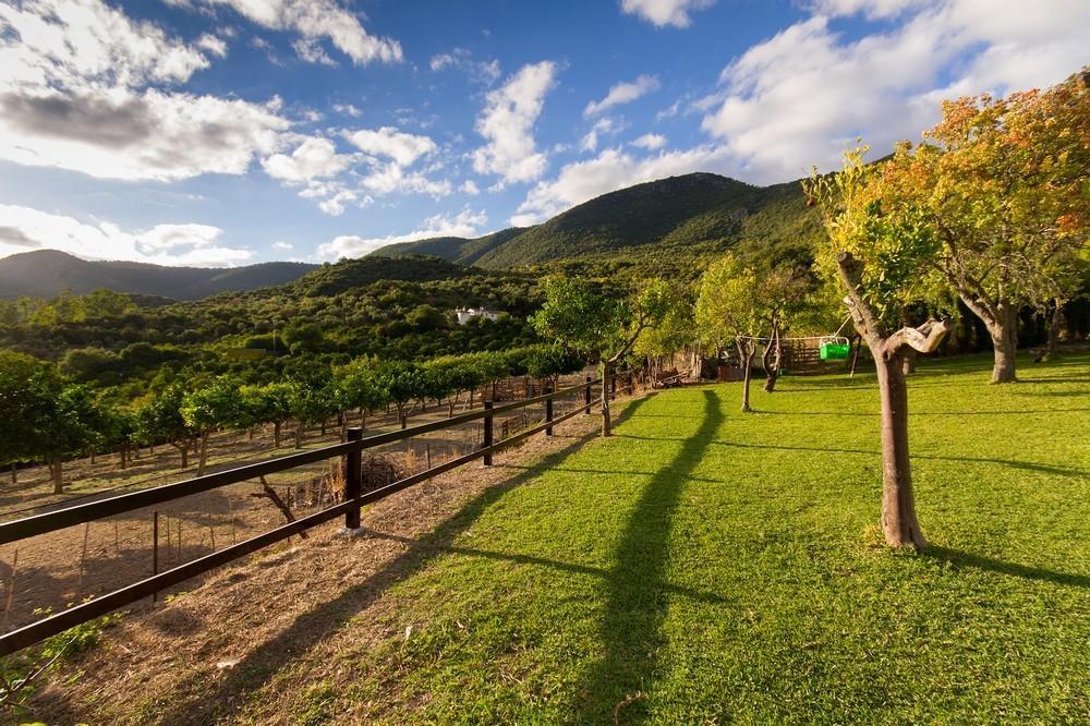 Finca El Huertezuelo El Bosque Exterior photo