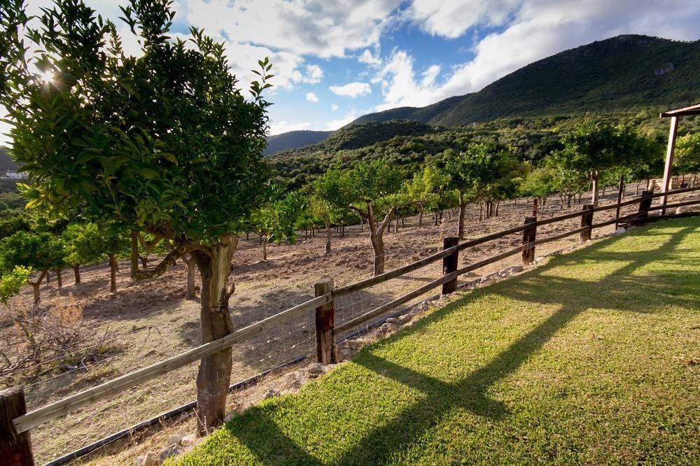 Finca El Huertezuelo El Bosque Exterior photo